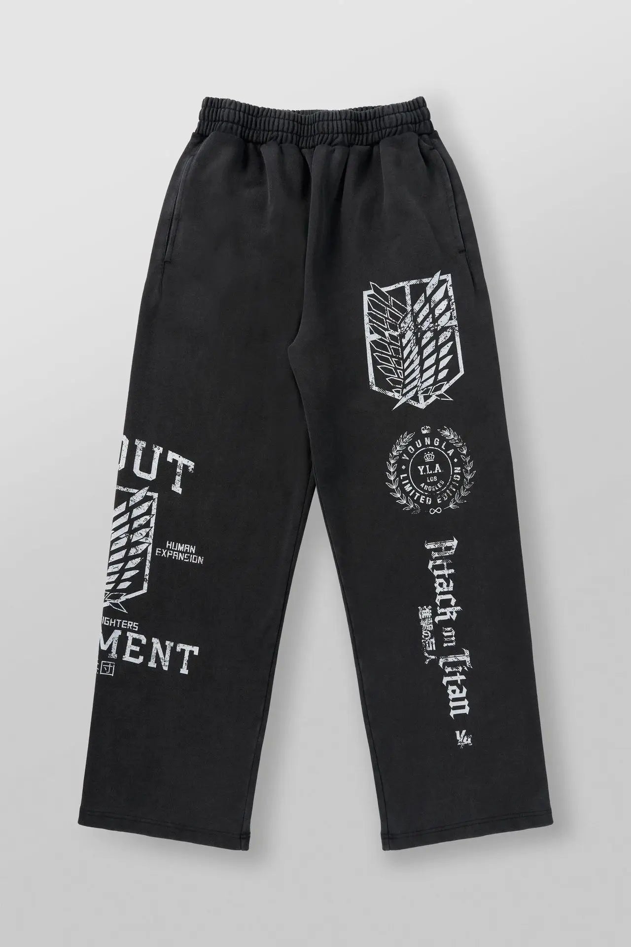 Titan Gym Jogger – Anime, Unisex, Attack on Titan Eden of Clothes 
